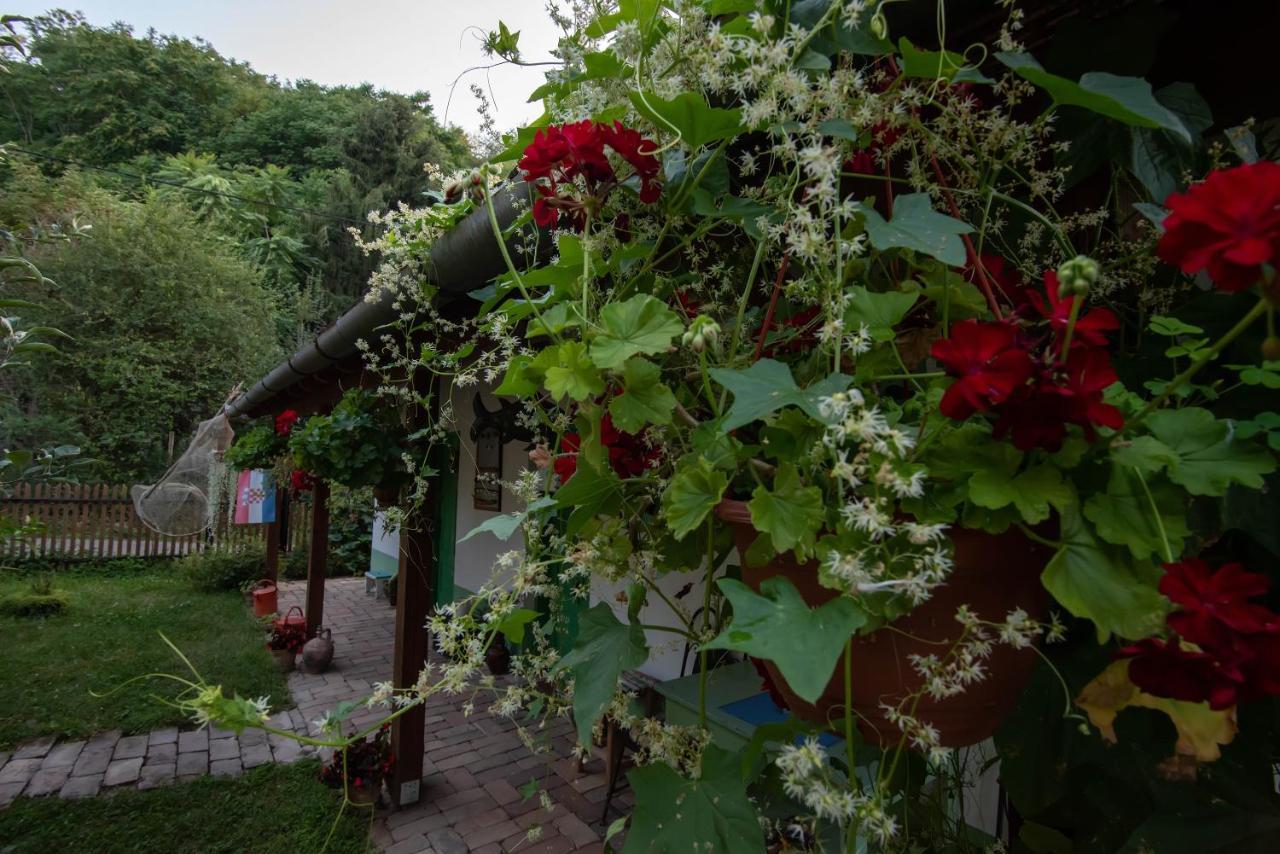 Apartamento Ribarska Kuca - Ilok ,Tradicijska Kuca-Sobe Exterior foto